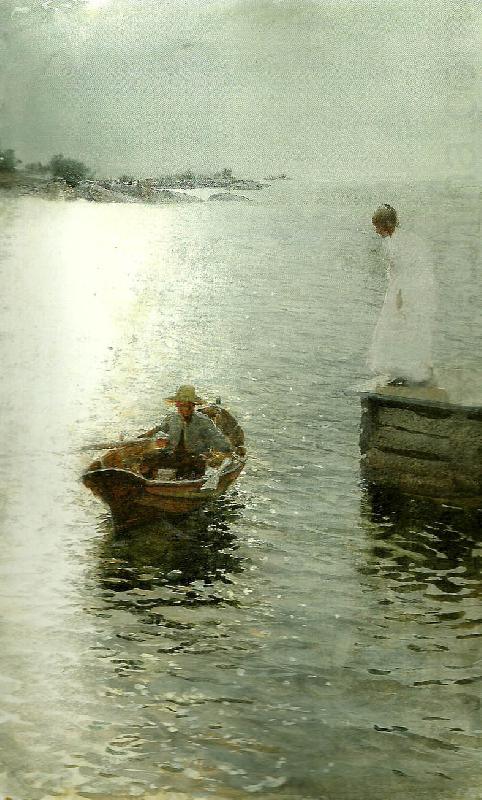 sommarnoje, Anders Zorn